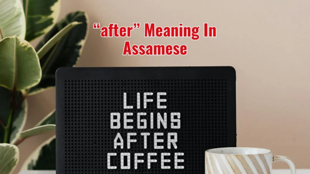 after Meaning In Assamese